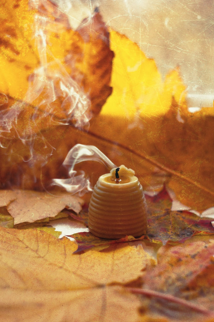 Choosing the Right Wax Melts for Every Season